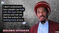 B Zephiah – Animals